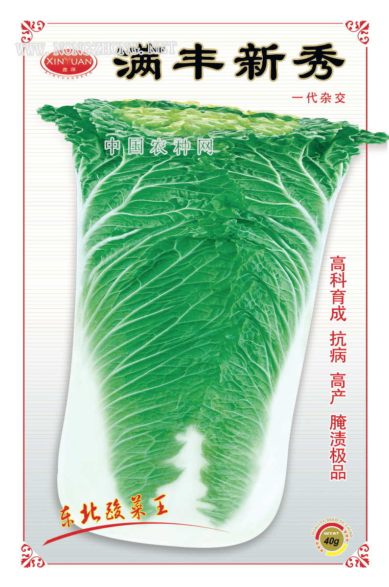 满丰新秀